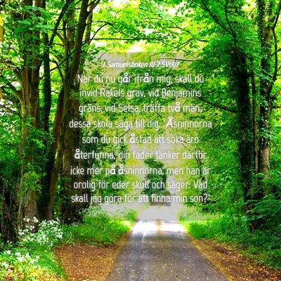 Picture 04 - 1 Samuelsboken 10:2 SV1917 - När du nu går ifrån mig, skall du invid Rakels - Bible Verse Picture