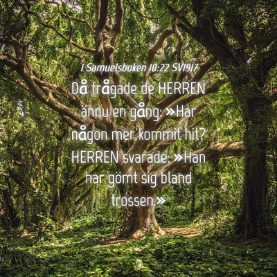 Picture 04 - 1 Samuelsboken 10:22 SV1917 - Då frågade de HERREN ännu en gång: »Har - Bible Verse Picture