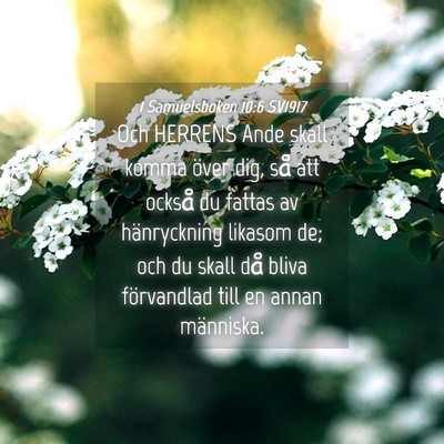 Picture 04 - 1 Samuelsboken 10:6 SV1917 - Och HERRENS Ande skall komma över dig, så att - Bible Verse Picture