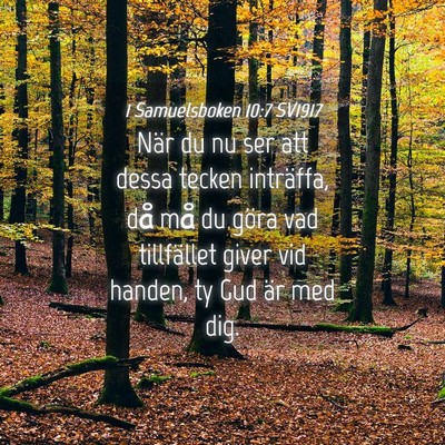 Picture 04 - 1 Samuelsboken 10:7 SV1917 - När du nu ser att dessa tecken inträffa, då - Bible Verse Picture