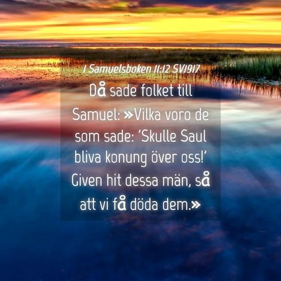 Picture 04 - 1 Samuelsboken 11:12 SV1917 - Då sade folket till Samuel: »Vilka voro de som - Bible Verse Picture