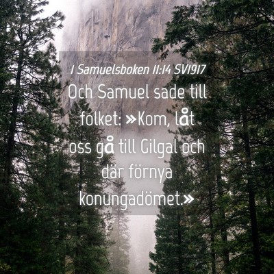 Picture 04 - 1 Samuelsboken 11:14 SV1917 - Och Samuel sade till folket: »Kom, låt oss gå - Bible Verse Picture