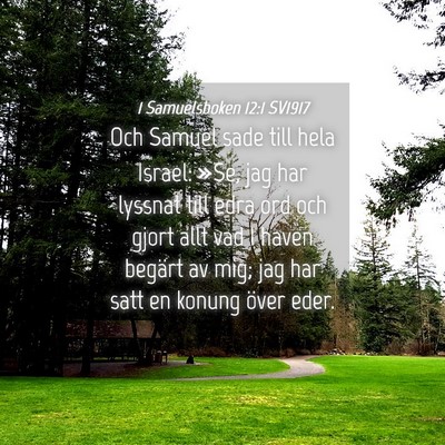 Picture 04 - 1 Samuelsboken 12:1 SV1917 - Och Samuel sade till hela Israel: »Se, jag har - Bible Verse Picture