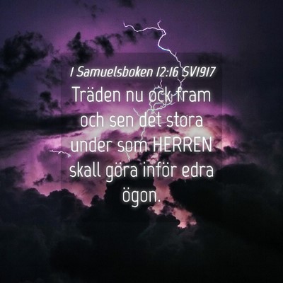 Picture 04 - 1 Samuelsboken 12:16 SV1917 - Träden nu ock fram och sen det stora under som - Bible Verse Picture