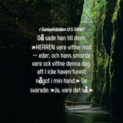 Picture 04 - 1 Samuelsboken 12:5 SV1917 - Då sade han till dem: »HERREN vare vittne mot - Bible Verse Picture