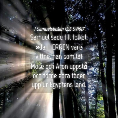 Picture 04 - 1 Samuelsboken 12:6 SV1917 - Samuel sade till folket: »Ja, HERREN vare - Bible Verse Picture