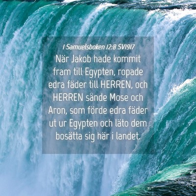 Picture 04 - 1 Samuelsboken 12:8 SV1917 - När Jakob hade kommit fram till Egypten, ropade - Bible Verse Picture