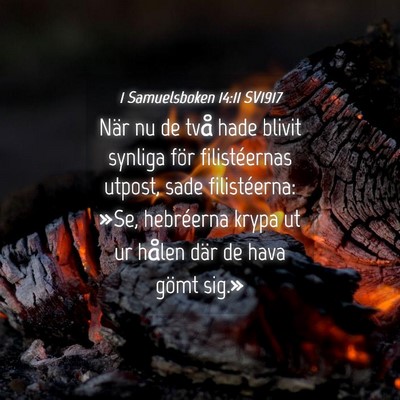 Picture 04 - 1 Samuelsboken 14:11 SV1917 - När nu de två hade blivit synliga för - Bible Verse Picture