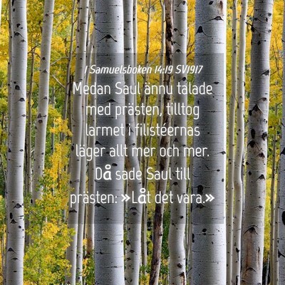 Picture 04 - 1 Samuelsboken 14:19 SV1917 - Medan Saul ännu talade med prästen, tilltog - Bible Verse Picture