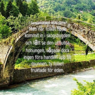Picture 04 - 1 Samuelsboken 14:26 SV1917 - Men när folket hade kommit in i skogsbygden och - Bible Verse Picture