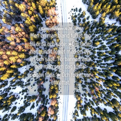 Picture 04 - 1 Samuelsboken 14:28 SV1917 - Men en man bland folket tog till orda och sade: - Bible Verse Picture