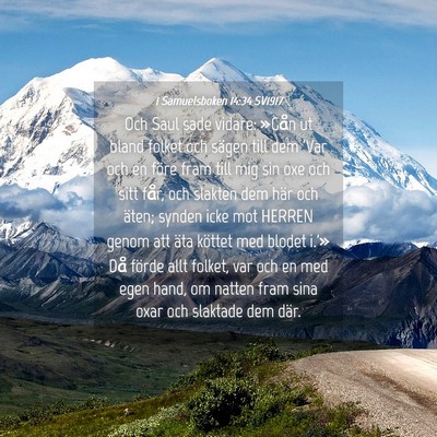 Picture 04 - 1 Samuelsboken 14:34 SV1917 - Och Saul sade vidare: »Gån ut bland folket och - Bible Verse Picture