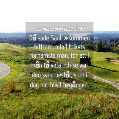 Picture 04 - 1 Samuelsboken 14:38 SV1917 - Då sade Saul: »Kommen hitfram, alla I folkets - Bible Verse Picture