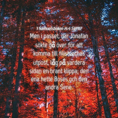 Picture 04 - 1 Samuelsboken 14:4 SV1917 - Men i passet, där Jonatan sökte gå över för - Bible Verse Picture