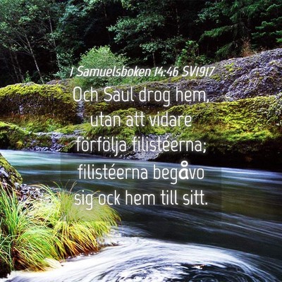Picture 04 - 1 Samuelsboken 14:46 SV1917 - Och Saul drog hem, utan att vidare förfölja - Bible Verse Picture