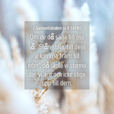 Picture 04 - 1 Samuelsboken 14:9 SV1917 - Om de då säga till oss så: 'Stån stilla, till - Bible Verse Picture