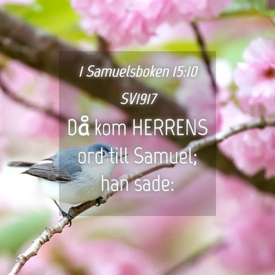 Picture 04 - 1 Samuelsboken 15:10 SV1917 - Då kom HERRENS ord till Samuel; han - Bible Verse Picture