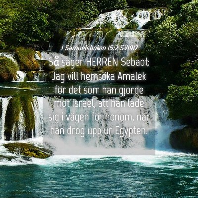 Picture 04 - 1 Samuelsboken 15:2 SV1917 - Så säger HERREN Sebaot: Jag vill hemsöka - Bible Verse Picture