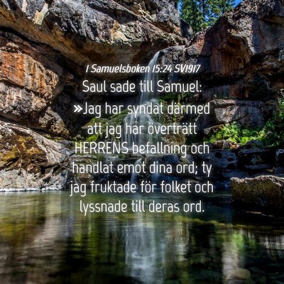 Picture 04 - 1 Samuelsboken 15:24 SV1917 - Saul sade till Samuel: »Jag har syndat därmed - Bible Verse Picture
