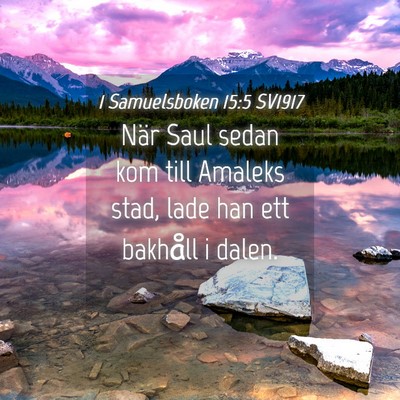 Picture 04 - 1 Samuelsboken 15:5 SV1917 - När Saul sedan kom till Amaleks stad, lade han - Bible Verse Picture