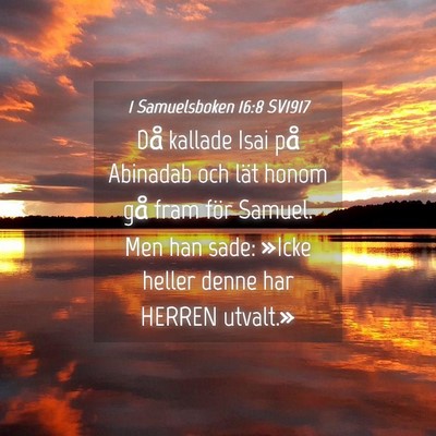 Picture 04 - 1 Samuelsboken 16:8 SV1917 - Då kallade Isai på Abinadab och lät honom gå - Bible Verse Picture