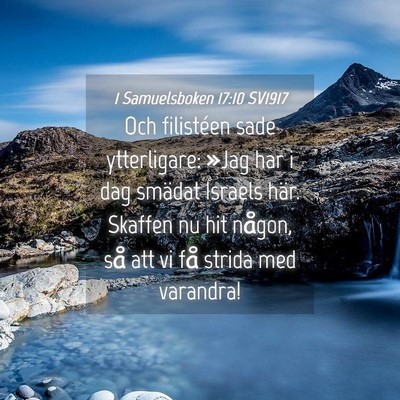 Picture 04 - 1 Samuelsboken 17:10 SV1917 - Och filistéen sade ytterligare: »Jag har i dag - Bible Verse Picture