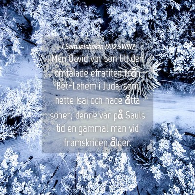 Picture 04 - 1 Samuelsboken 17:12 SV1917 - Men David var son till den omtalade efratiten - Bible Verse Picture
