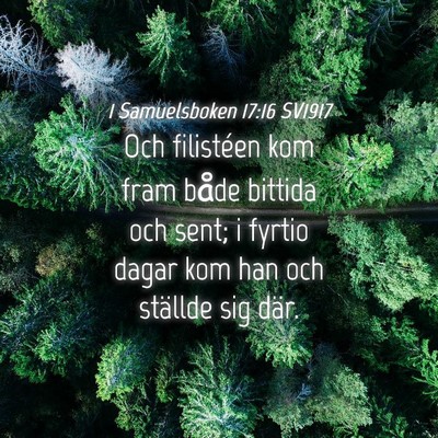 Picture 04 - 1 Samuelsboken 17:16 SV1917 - Och filistéen kom fram både bittida och sent; i - Bible Verse Picture