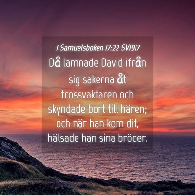 Picture 04 - 1 Samuelsboken 17:22 SV1917 - Då lämnade David ifrån sig sakerna åt - Bible Verse Picture