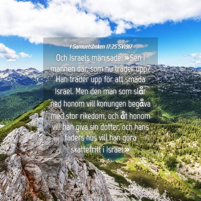 Picture 04 - 1 Samuelsboken 17:25 SV1917 - Och Israels män sade: »Sen I mannen där, som - Bible Verse Picture