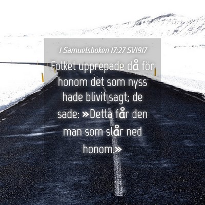 Picture 04 - 1 Samuelsboken 17:27 SV1917 - Folket upprepade då för honom det som nyss hade - Bible Verse Picture