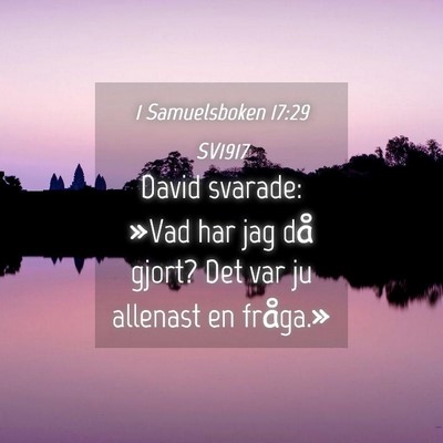 Picture 04 - 1 Samuelsboken 17:29 SV1917 - David svarade: »Vad har jag då gjort? Det var - Bible Verse Picture