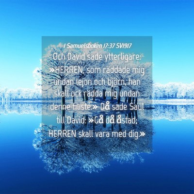 Picture 04 - 1 Samuelsboken 17:37 SV1917 - Och David sade ytterligare: »HERREN, som - Bible Verse Picture
