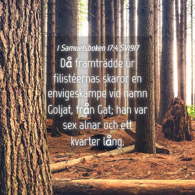 Picture 04 - 1 Samuelsboken 17:4 SV1917 - Då framträdde ur filistéernas skaror en - Bible Verse Picture