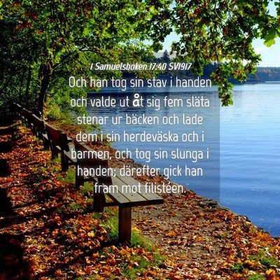 Picture 04 - 1 Samuelsboken 17:40 SV1917 - Och han tog sin stav i handen och valde ut åt - Bible Verse Picture