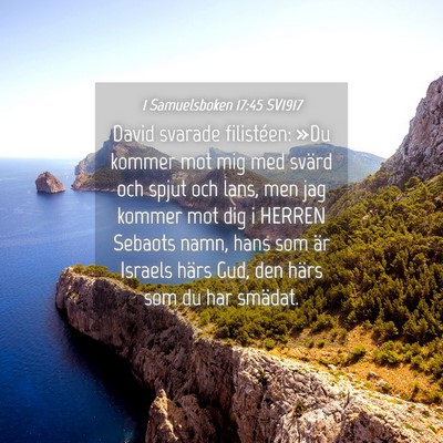 Picture 04 - 1 Samuelsboken 17:45 SV1917 - David svarade filistéen: »Du kommer mot mig med - Bible Verse Picture