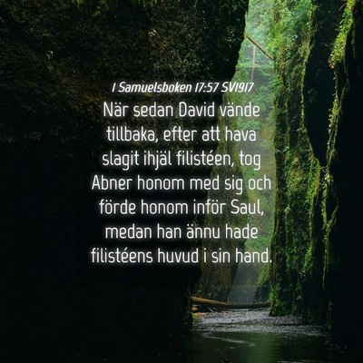 Picture 04 - 1 Samuelsboken 17:57 SV1917 - När sedan David vände tillbaka, efter att hava - Bible Verse Picture