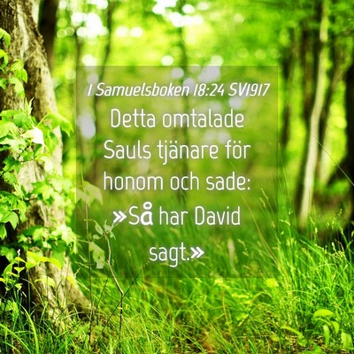 Picture 04 - 1 Samuelsboken 18:24 SV1917 - Detta omtalade Sauls tjänare för honom och - Bible Verse Picture