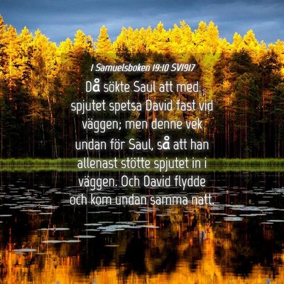 Picture 04 - 1 Samuelsboken 19:10 SV1917 - Då sökte Saul att med spjutet spetsa David fast - Bible Verse Picture