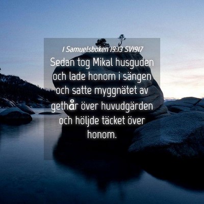 Picture 04 - 1 Samuelsboken 19:13 SV1917 - Sedan tog Mikal husguden och lade honom i sängen - Bible Verse Picture