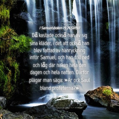 Picture 04 - 1 Samuelsboken 19:24 SV1917 - Då kastade också han av sig sina kläder, i det - Bible Verse Picture