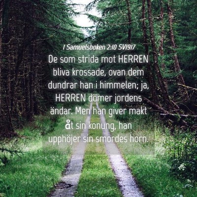 Picture 04 - 1 Samuelsboken 2:10 SV1917 - De som strida mot HERREN bliva krossade, ovan dem - Bible Verse Picture