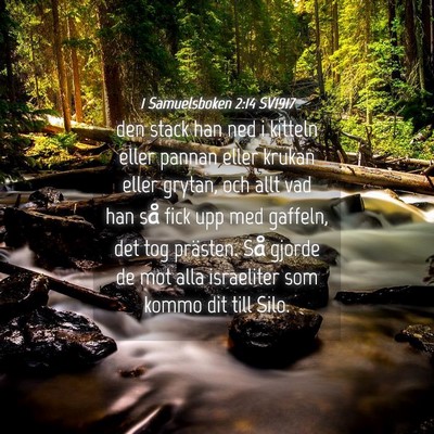 Picture 04 - 1 Samuelsboken 2:14 SV1917 - den stack han ned i kitteln eller pannan eller - Bible Verse Picture