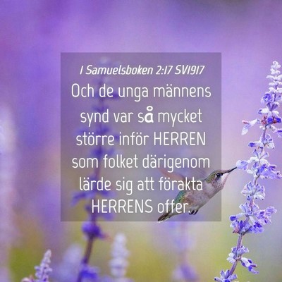 Picture 04 - 1 Samuelsboken 2:17 SV1917 - Och de unga männens synd var så mycket större - Bible Verse Picture