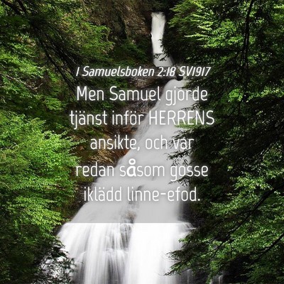 Picture 04 - 1 Samuelsboken 2:18 SV1917 - Men Samuel gjorde tjänst inför HERRENS ansikte, - Bible Verse Picture