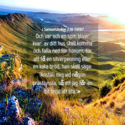 Picture 04 - 1 Samuelsboken 2:36 SV1917 - Och var och en som bliver kvar: av ditt hus skall - Bible Verse Picture