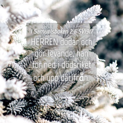 Picture 04 - 1 Samuelsboken 2:6 SV1917 - HERREN dödar och gör levande, han för ned i - Bible Verse Picture