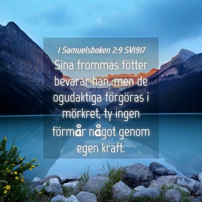 Picture 04 - 1 Samuelsboken 2:9 SV1917 - Sina frommas fötter bevarar han, men de - Bible Verse Picture