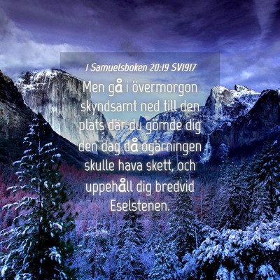 Picture 04 - 1 Samuelsboken 20:19 SV1917 - Men gå i övermorgon skyndsamt ned till den - Bible Verse Picture