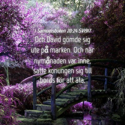 Picture 04 - 1 Samuelsboken 20:24 SV1917 - Och David gömde sig ute på marken. Och när - Bible Verse Picture